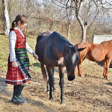 Vendégház Ecopark Elena