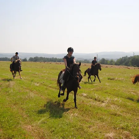 Ecopark بيت ضيافة ايلينا