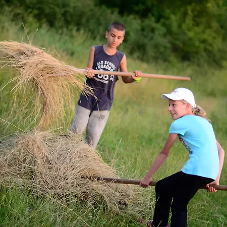Ecopark Konukevi Elena