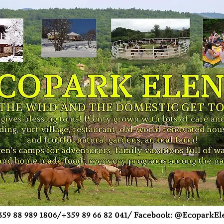 Ecopark بيت ضيافة ايلينا