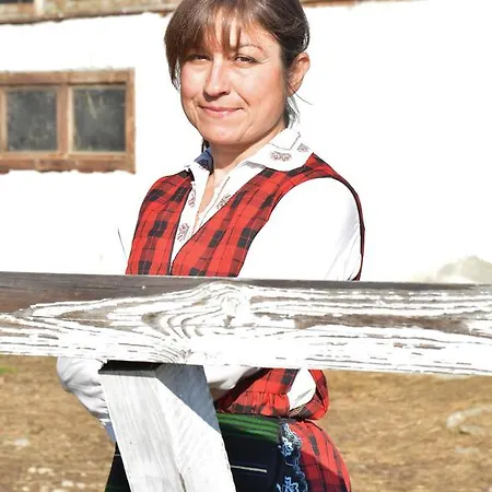 Ecopark بيت ضيافة ايلينا