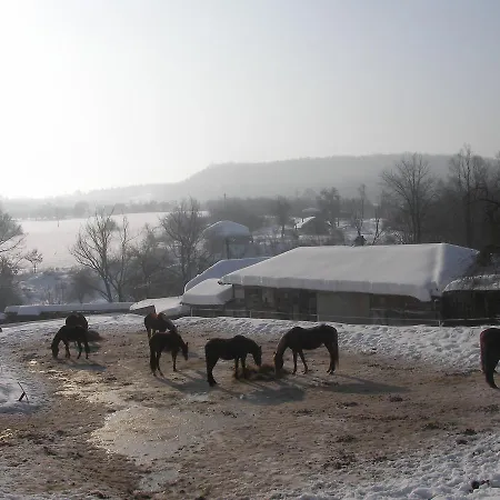 Ecopark بيت ضيافة ايلينا