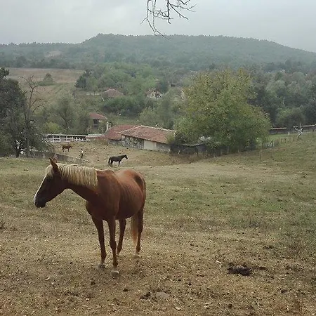 Konukevi Ecopark Elena