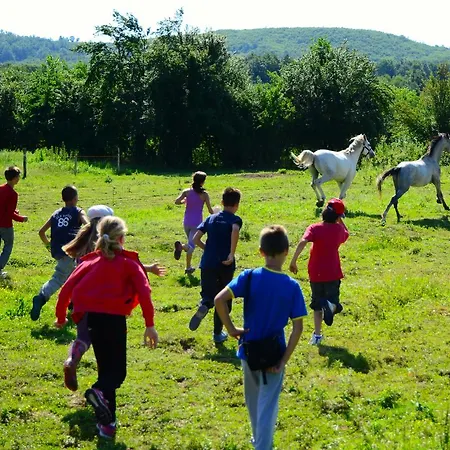 Ecopark Konukevi Elena