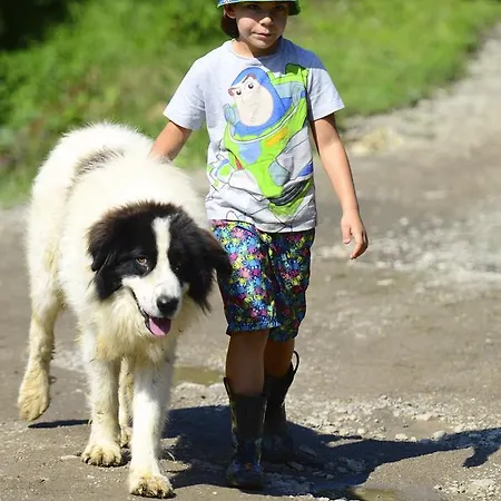 Ecopark * Elena