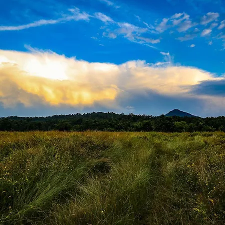 بيت ضيافة Ecopark