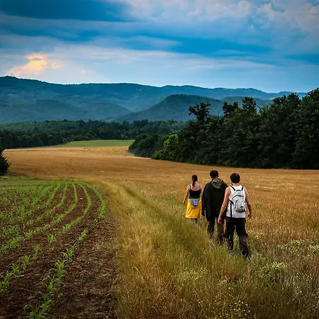 بيت ضيافة Ecopark ايلينا