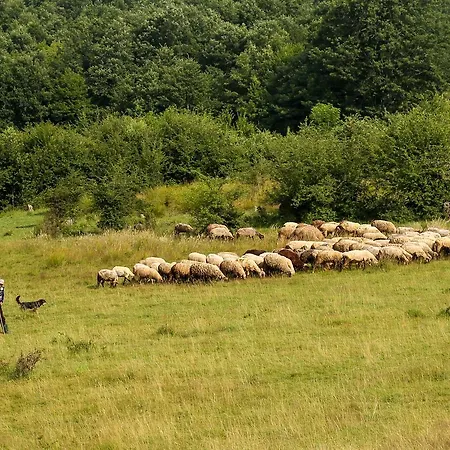 بيت ضيافة Ecopark