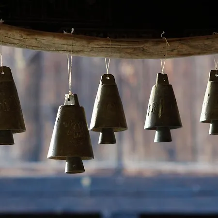 بيت ضيافة Ecopark