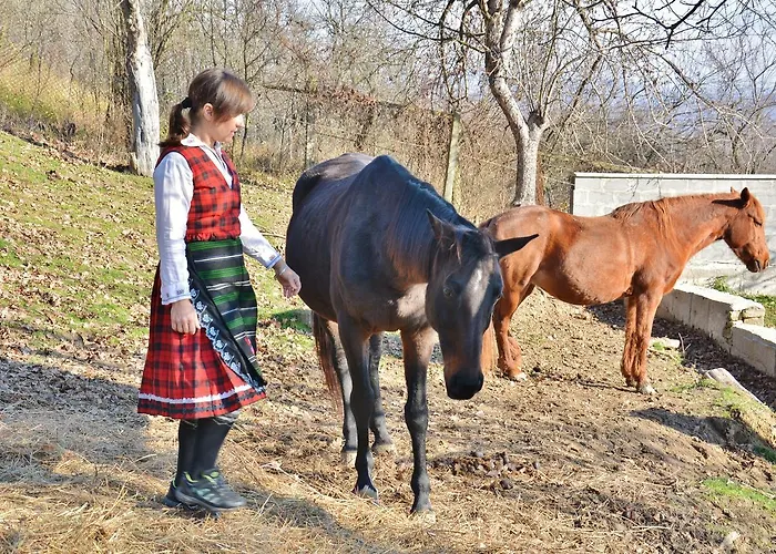 בית הארחה Ecopark אלנה