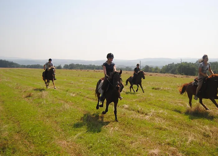Ecopark Casa de hóspedes Elena