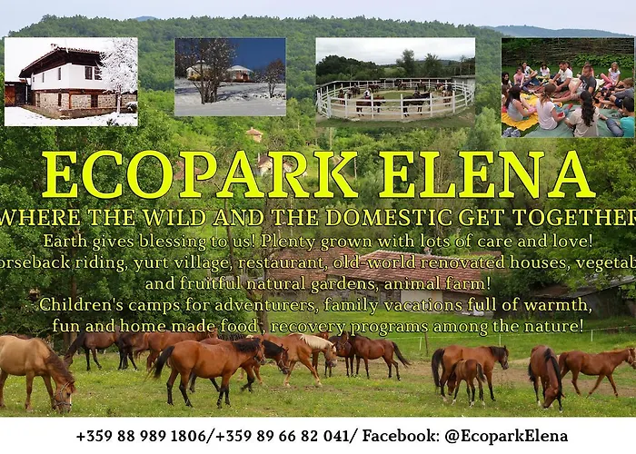 Ecopark בית הארחה אלנה