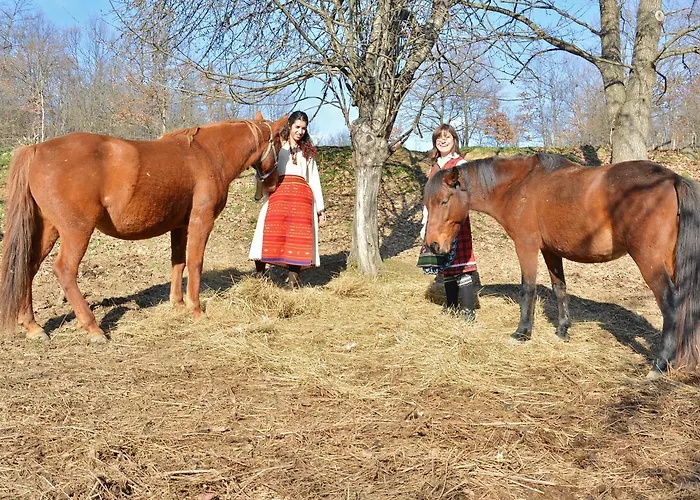 Casa de hóspedes Ecopark *