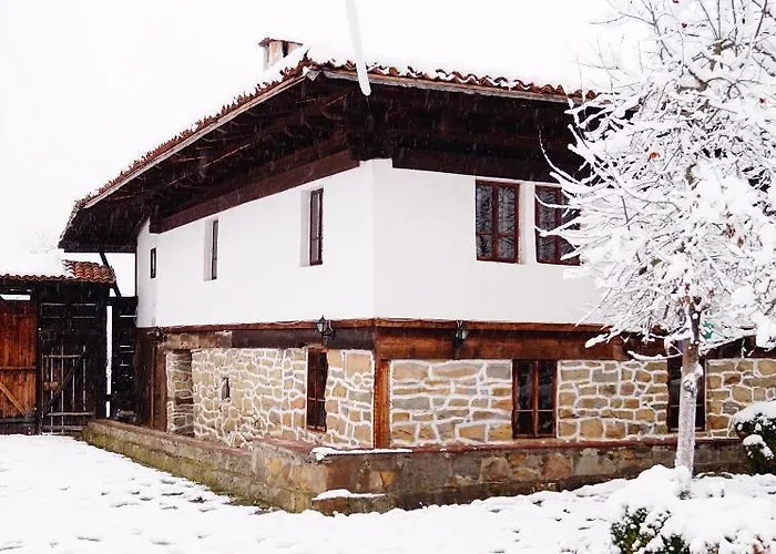 Ecopark Casa de hóspedes Elena