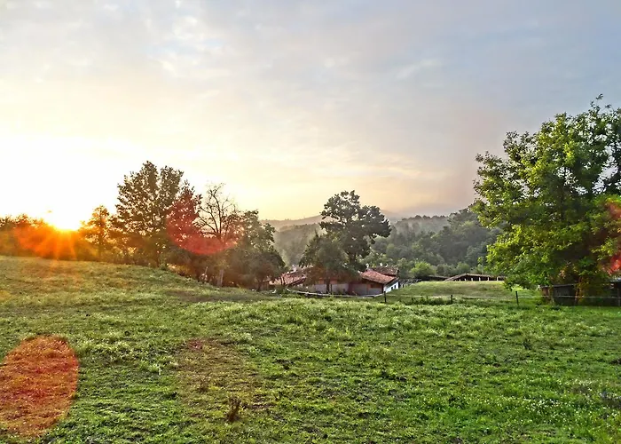 Casa de hóspedes Ecopark Elena