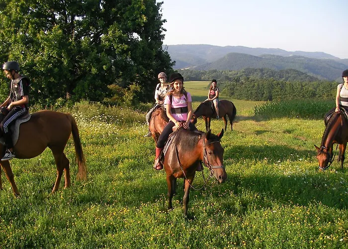 Casa de hóspedes Ecopark Elena