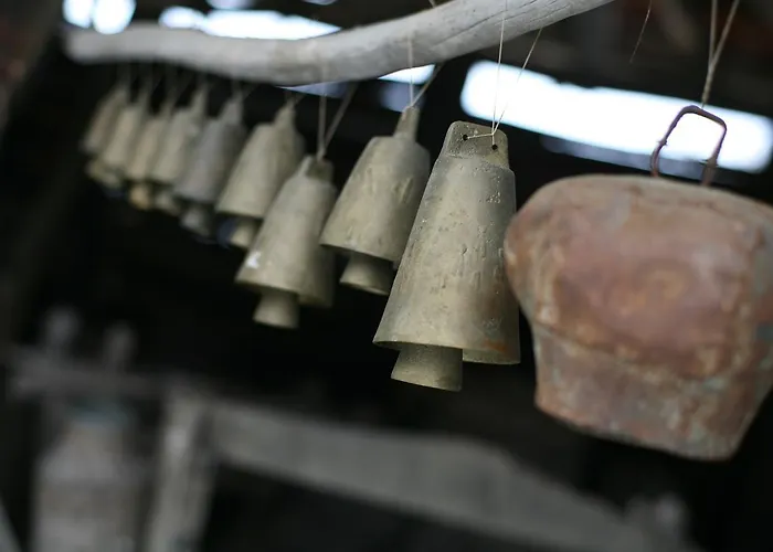 Ecopark Casa de hóspedes *