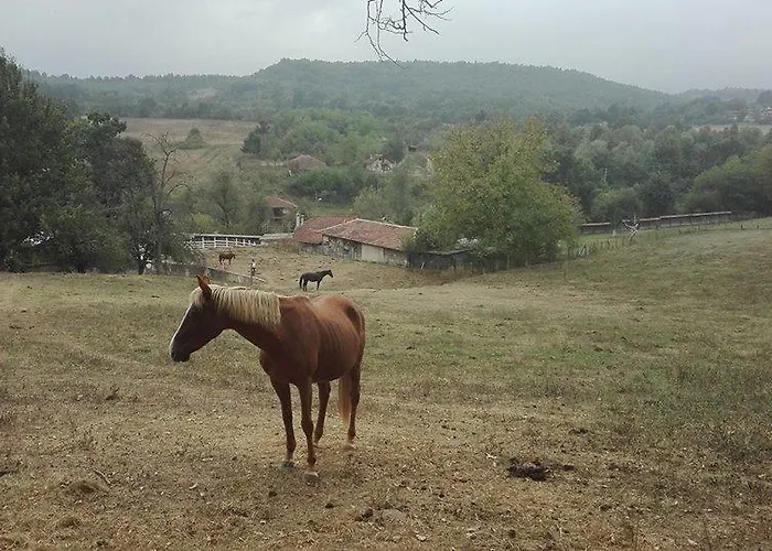 Casa de hóspedes Ecopark Elena