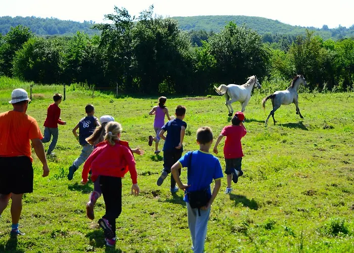 Ecopark Casa de hóspedes Elena