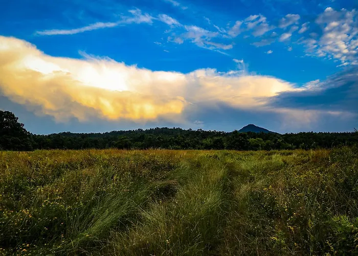 בית הארחה Ecopark