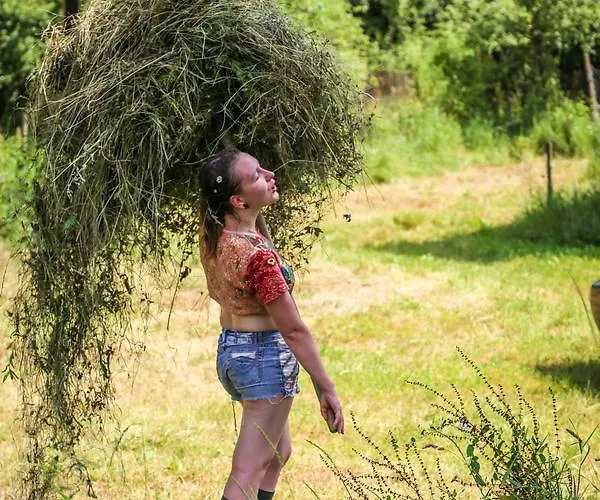 Ecopark בית הארחה *