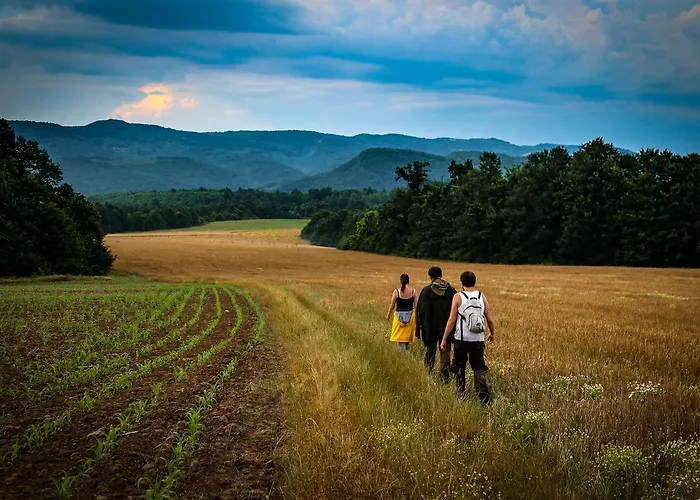 Casa de hóspedes Ecopark Elena