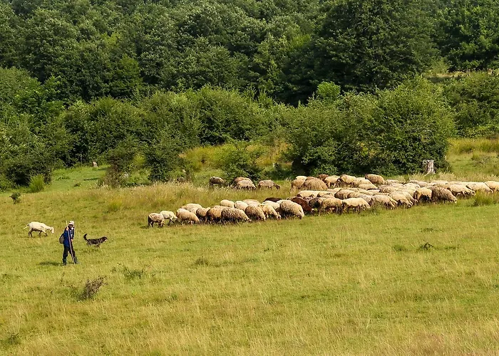 בית הארחה Ecopark