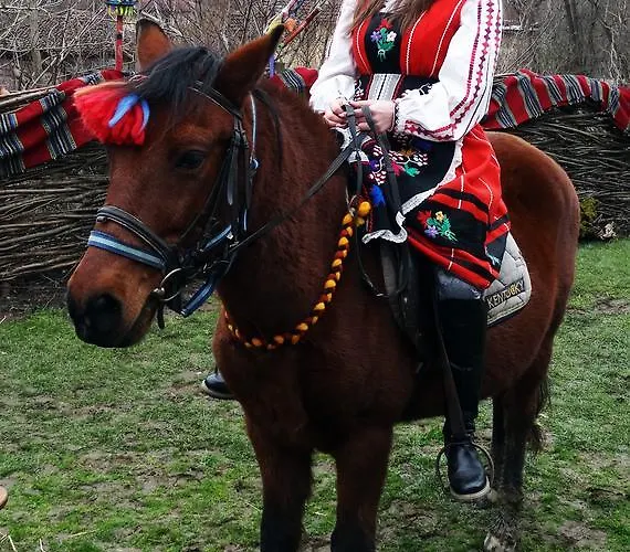 Ecopark Casa de hóspedes